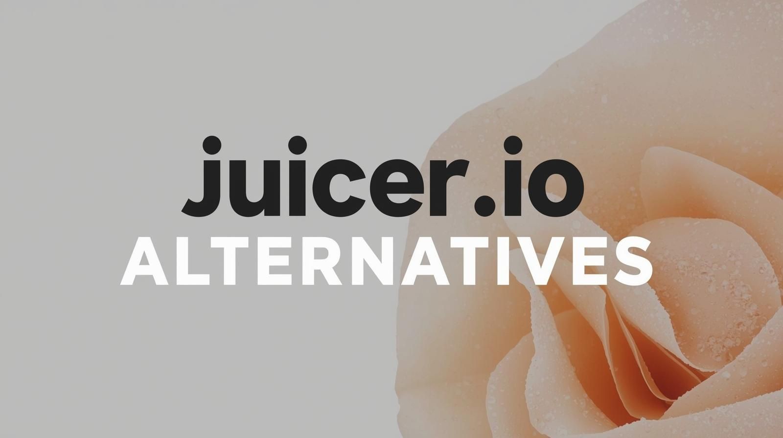 Best 9 Juicer.io Alternatives to Try in 2025